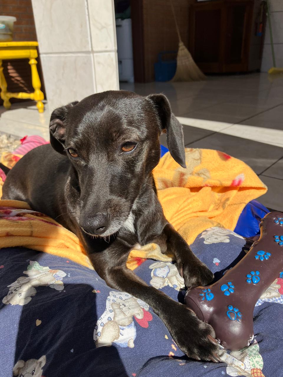 Lily enjoying sunshine